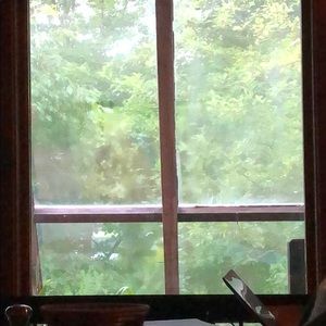 Meet your Posher, Mimi